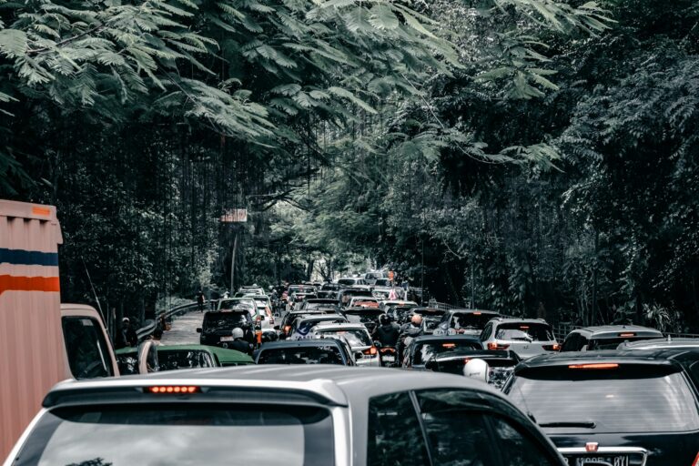 A bottleneck of cars and motorcycles on a narrow road surrounded by dense tropical foliage.